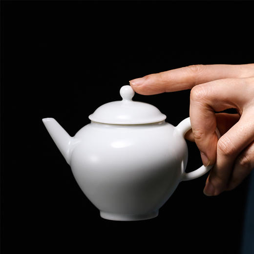 迷你功夫泡茶壶 商品图3