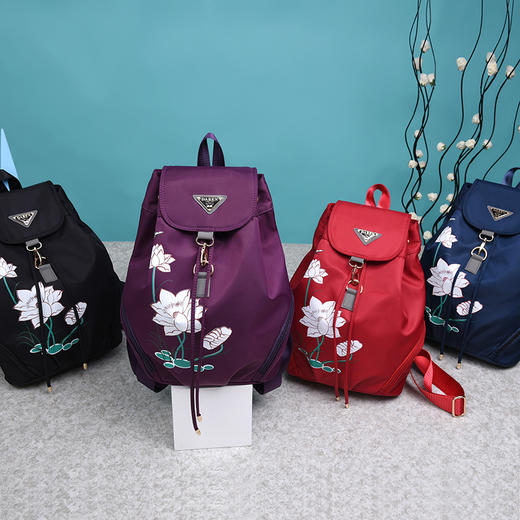 XH-1622新款时尚韩版印花尼龙帆布旅行背包简约书包  XCX 商品图1