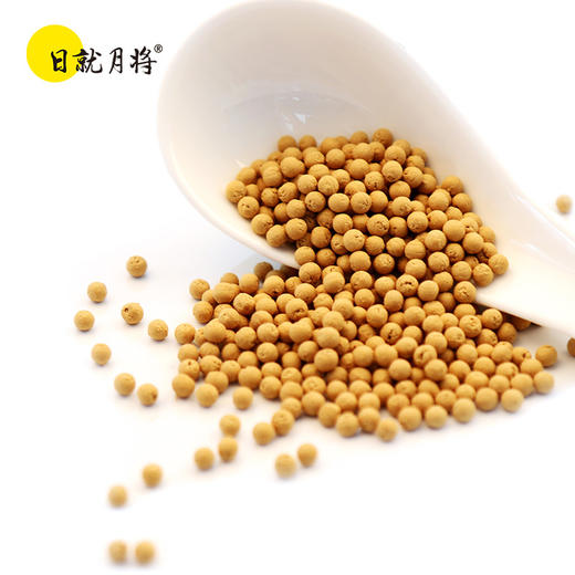 姜粉丸 250克瓶装 商品图1