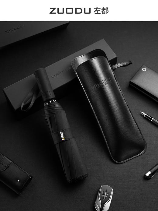 左都德国风暴伞 商品图1