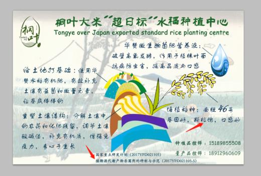 桐叶月卡礼套装 商品图2