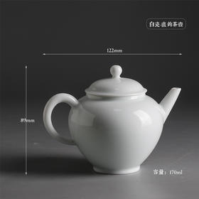 迷你功夫泡茶壶