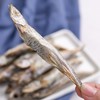好品质猫咪狗狗零食冻干多春鱼50克1袋装！ 商品缩略图4