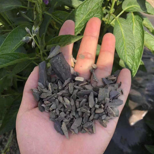 云南树上熟人参果3斤/ 4.5斤装 商品图5