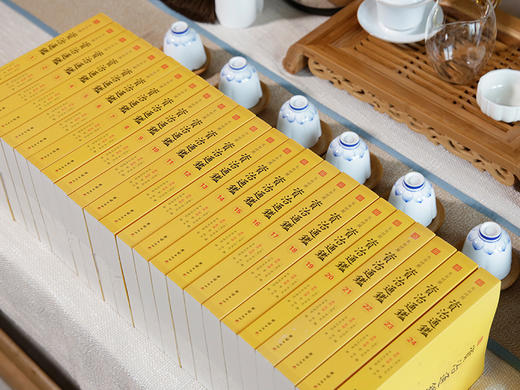 文白对照资治通鉴（全24册）康熙乾隆御批点评版 商品图6