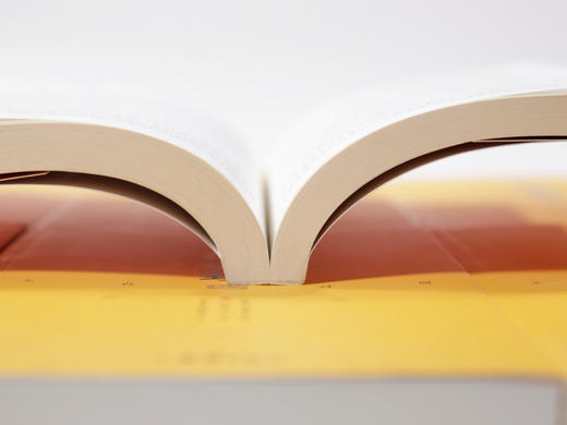 文白对照资治通鉴（全24册）康熙乾隆御批点评版 商品图10