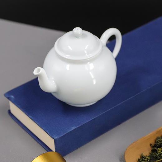 迷你功夫泡茶壶 商品图3