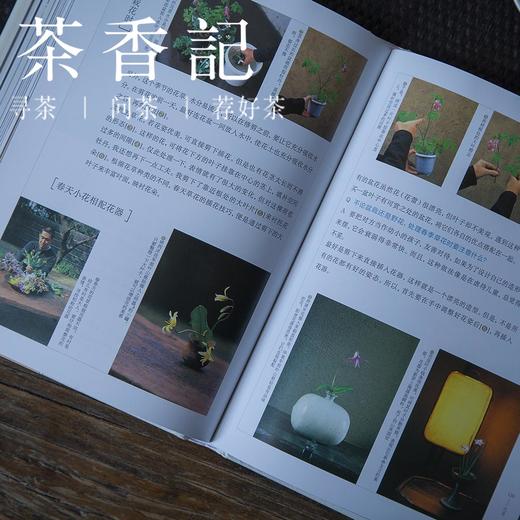 茶香记 《四季花传书(精)》日式花道 工具书 川濑敏郎 商品图4