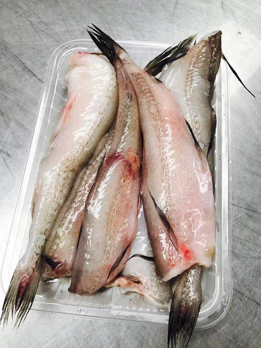 【豆腐鱼/龙头鱼】 净菜1斤 商品图4