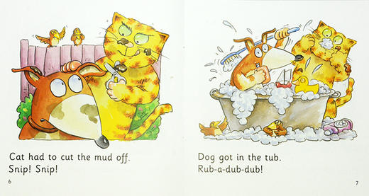 Big Cat Phonics 大猫自然拼读1-4级 剑桥考试指定分级读物 畅销读本【配外教视频课】 商品图6