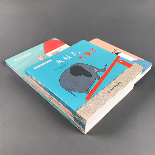 【纸板书】德国经典对比概念趣味认知书（0-3岁.全3册） 商品图2
