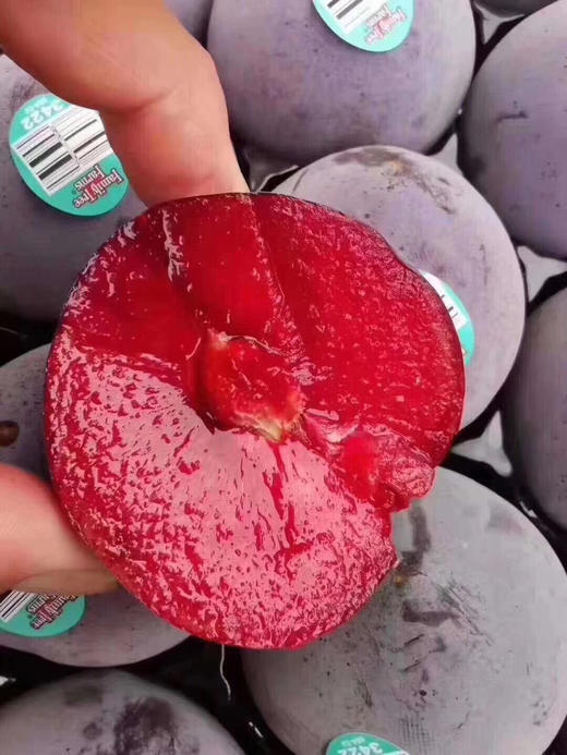 夜玫瑰恐龙蛋稀有品种果色泽艳丽芬芳馥郁营养丰富