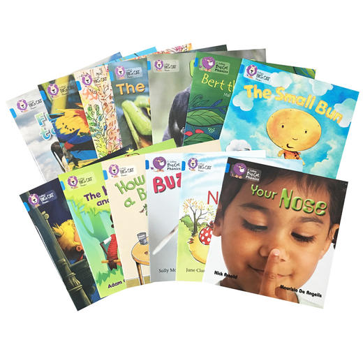 Big Cat Phonics 大猫自然拼读1-4级 剑桥考试指定分级读物 畅销读本【配外教视频课】 商品图5