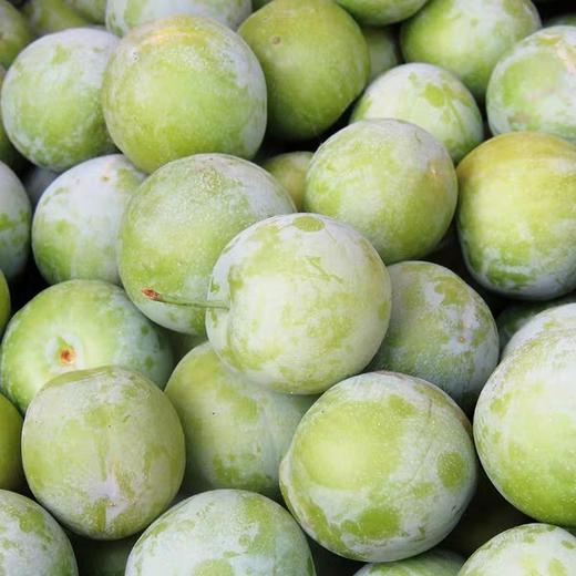 新鲜水果四川青脆李子当季脱骨李2斤装