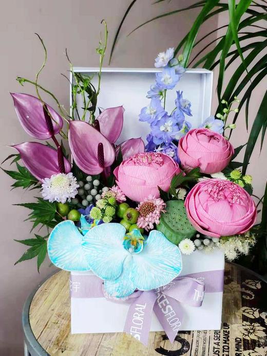 一川风花 商品图0