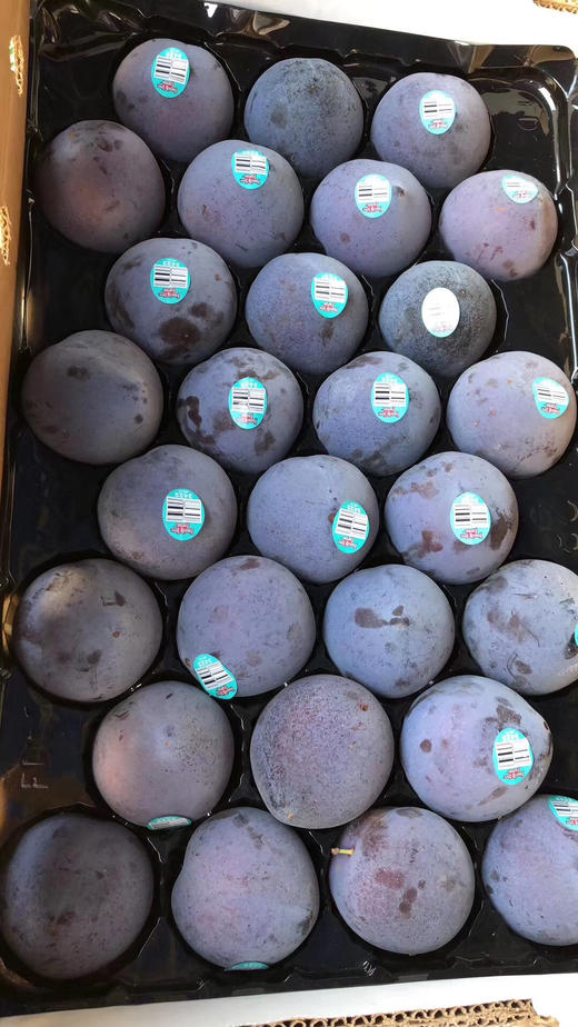 夜玫瑰恐龙蛋稀有品种果色泽艳丽芬芳馥郁营养丰富