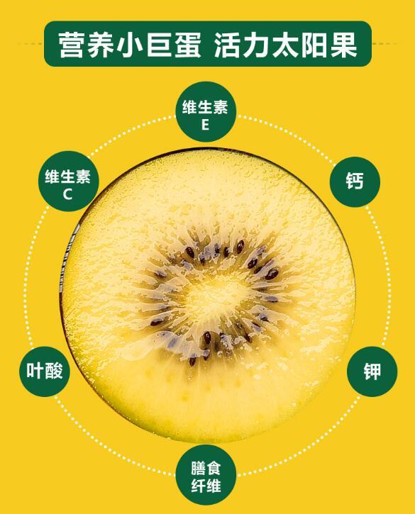⨺ӪḻƤһ2527װ