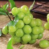 【砍价1元购】阳光玫瑰葡萄青提 1份 (重约1.3斤)【2日内提货】 商品缩略图6