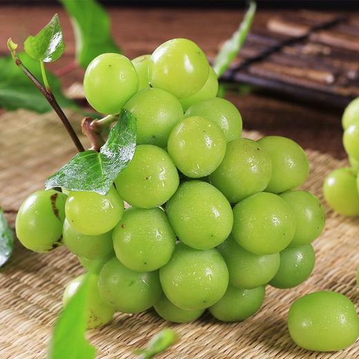 【砍价1元购】阳光玫瑰葡萄青提 1份 (重约1.3斤)【2日内提货】 商品图6