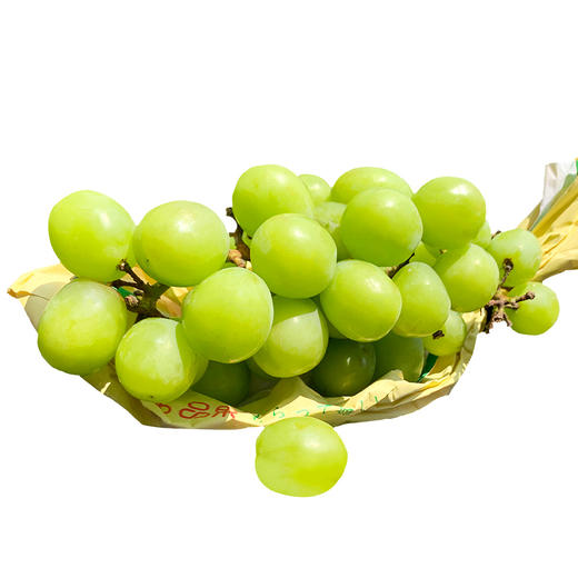 【砍价1元购】阳光玫瑰葡萄青提 1份 (重约1.3斤)【2日内提货】 商品图2