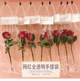 网红手提袋-全透明