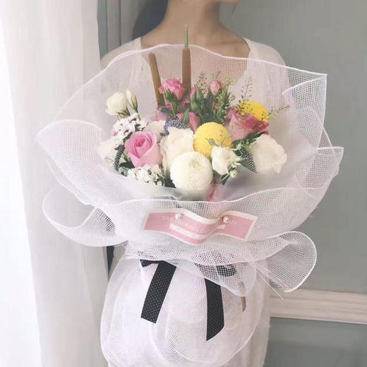 PP纱网纱 商品图0