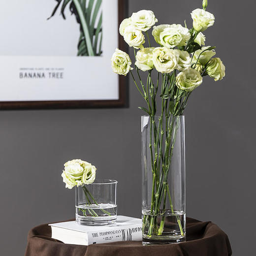 10 口径---12口径-玻璃直筒花瓶 商品图3