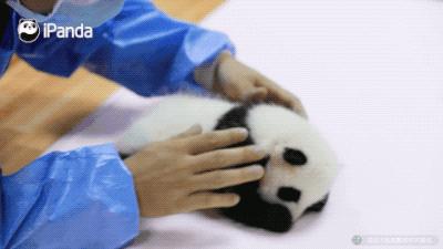 xz-周期购1 商品图0