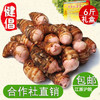 新鲜现挖芋头 6斤礼盒 建昌红香芋 商品缩略图1