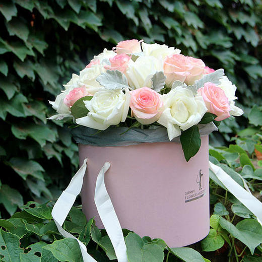 套二抱抱桶 商品图2