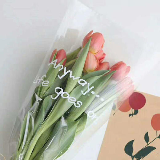 网红 玻璃纸（英文）加厚 彩玻 商品图4