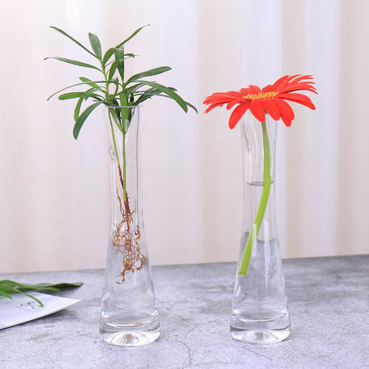 A级气泡花瓶-20-25 商品图0