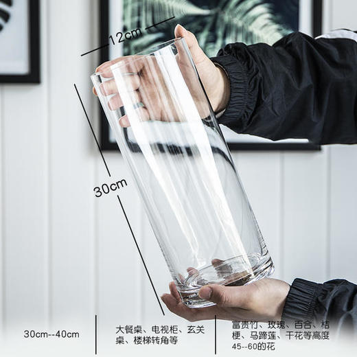 10 口径---12口径-玻璃直筒花瓶 商品图0