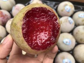 【恐龙蛋】每年推荐,巅峰口感！味道浓郁！ 超级新鲜！特好吃！肉厚多汁！