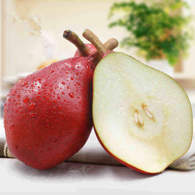 山东啤梨4斤酥化了用勺子也能挖着吃