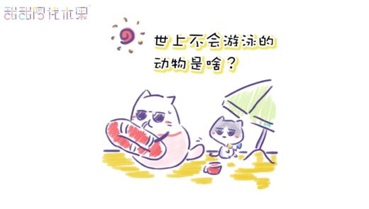 不会游泳的动物是啥？ 商品图0