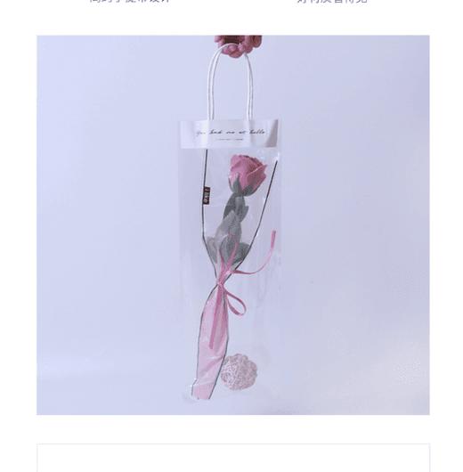 网红手提袋-全透明 商品图3