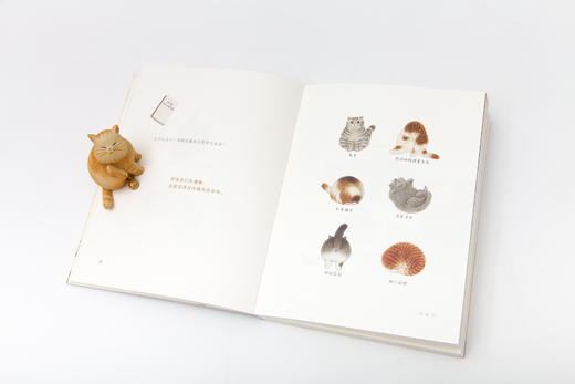 《喵 我就喜欢这样的自己》（《就喜欢你看不惯我又干不掉我的样子》作者白茶萌宠推荐！） 商品图4