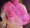 彩喷 商品缩略图2
