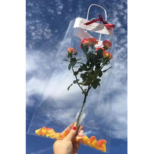 网红手提袋-全透明 商品图2