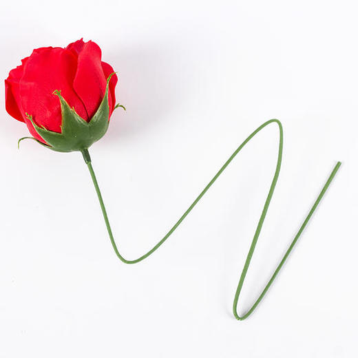 绿铁丝 商品图2