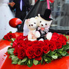 婚纱小熊 情侣熊 对熊 商品缩略图2