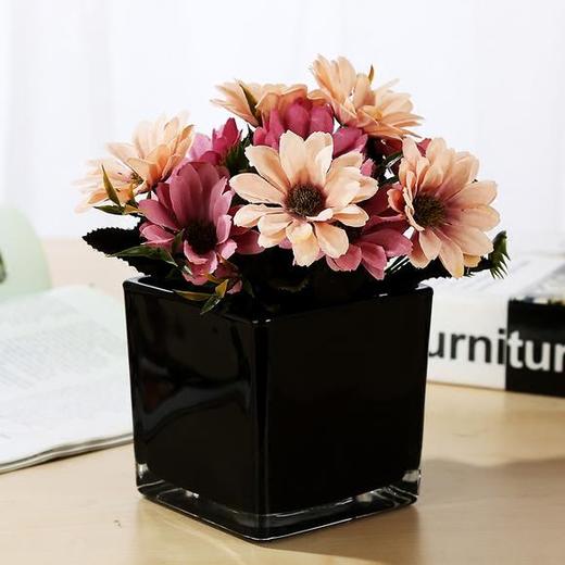 方缸——长条缸——S缸 商品图3