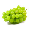 【砍价1元购】阳光玫瑰葡萄青提 1份 (重约1.3斤)【2日内提货】 商品缩略图0