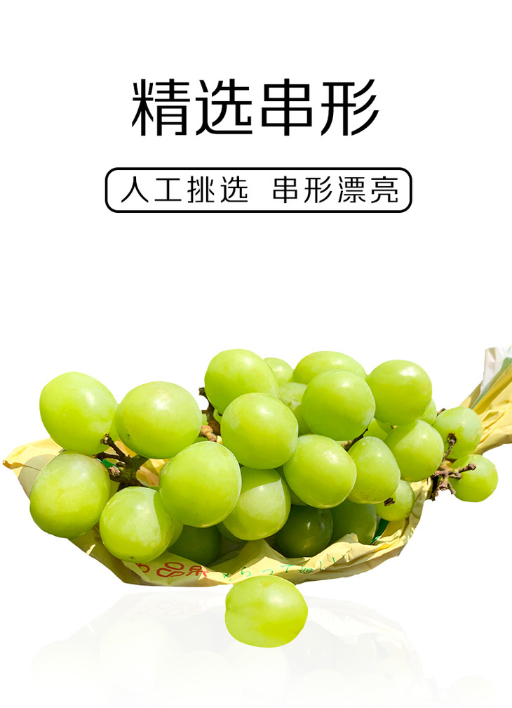 1斤精品阳光玫瑰青王1斤日本品种超重部分店内补差价2日内提货