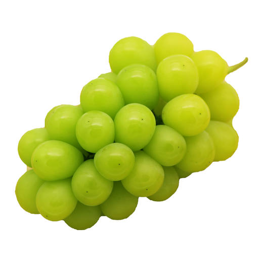 【砍价1元购】阳光玫瑰葡萄青提 1份 (重约1.3斤)【2日内提货】 商品图1