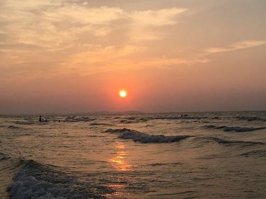 9月4日食安早报：甜食会悄悄影响大脑，让人胃口变大 商品图0