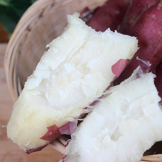 冰淇淋白心板栗薯特卖价199河南现挖粉糯香甜5斤大小混装ould