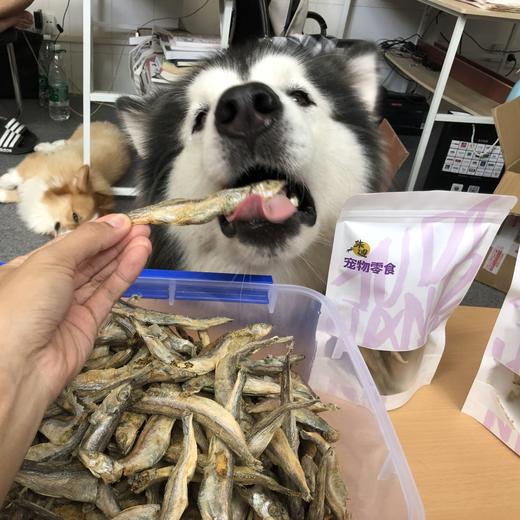好品质猫咪狗狗零食冻干多春鱼50克1袋装！ 商品图2