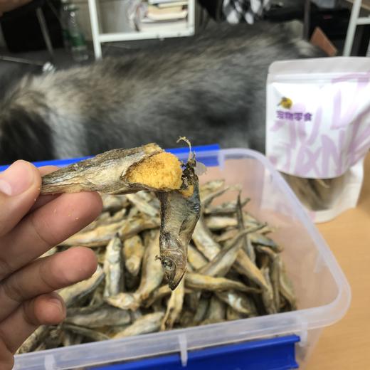 好品质猫咪狗狗零食冻干多春鱼50克1袋装！ 商品图1